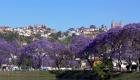 Antananarivo1.jpg Antananarivo1.jpg