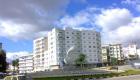 438397_297023_tetouan-statue-colombe_13052010131612.jpg 438397_297023_tetouan-statue-colombe_13052010131612.jpg