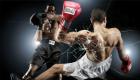 Boxe_0.preview.jpg Boxe_0.preview.jpg