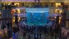 morocco-mall.jpg morocco-mall.jpg