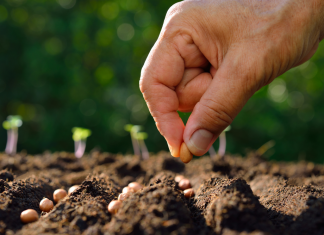 Agriculture : 5 étudiants marocains parcourent le monde pour l’Afrique