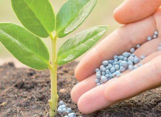 Engrais : L’OCP réunit les producteurs du monde à Marrakech