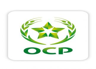 Engrais : Le Groupe OCP bientôt N°1 mondial