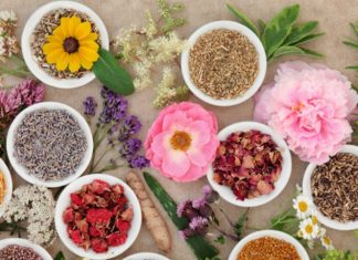 Plantes médicinales : Le Maroc 2ème producteur mondial