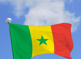 Sénégal : Le Groupe Sefrioui investit 75 milliards FCFA dans le… riz