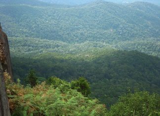 Forêts : Le Maroc gagne sa bataille contre les incendies