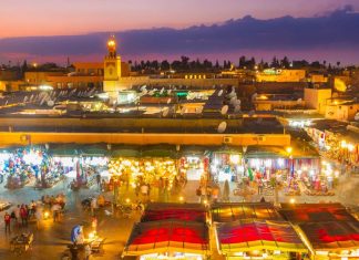 Fruits et légumes surgelés : Un méga projet validé à Marrakech