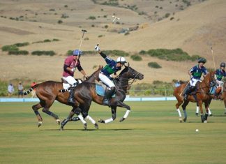 Polo : Rabat accueille un tournoi international