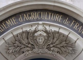 France : Une étudiante marocaine primée par l’Académie d’Agriculture
