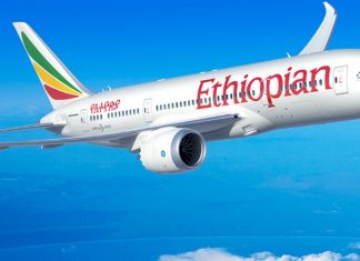 Ethiopie : L’Etat lance un e-visa pour attirer les touristes