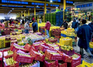 Marchés de gros : Casablanca dans le Top 20 mondial