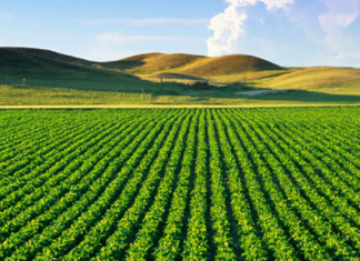 Développement agricole : Le Maroc dévoile ses réalisations