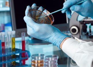 Microbiologie des aliments : Un laboratoire marocain accrédité ISO 17025