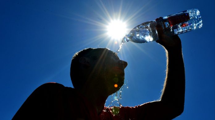 canicule_1