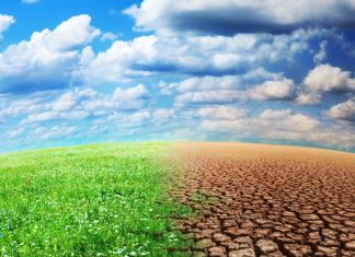 Changement climatique : Le chiffre choc de la Banque mondiale