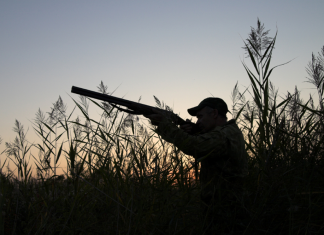 Chasse : L’activité prend de l’ampleur au Maroc