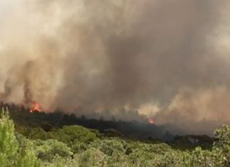 Tanger : Gigantesque incendie de forêt, gros moyens déployés