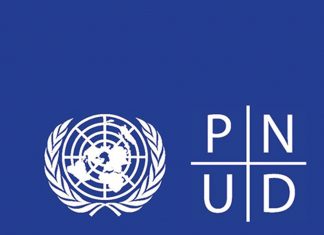 Développement : Le PNUD sollicite le Maroc pour l’Afrique
