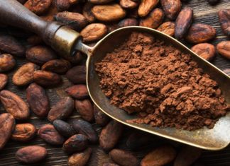 Côte d’Ivoire : Les exportations de cacao battent un record historique