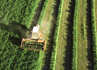Agriculture : Les émiratis arrivent au Maroc