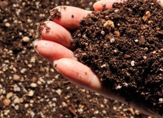 Phosphates/Engrais : Le Ghana ouvre son marché au Maroc