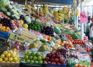Fruits et légumes : Les exportateurs marocains investissent le Moyen-Orient