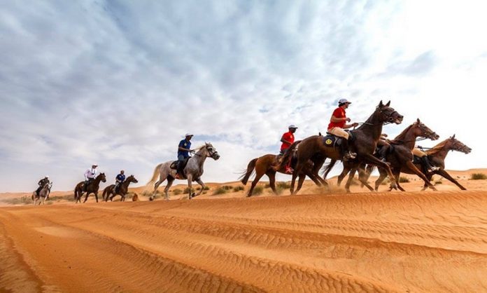 Gallops du Maroc