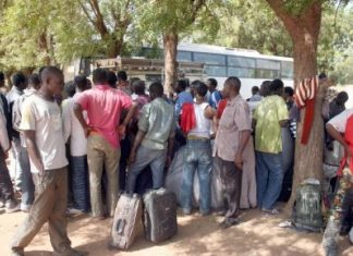 Algérie : Plus de 10 000 migrants subsahariens expulsés