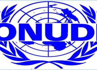 ONUDI : Le Maroc élu membre du Conseil du développement industriel