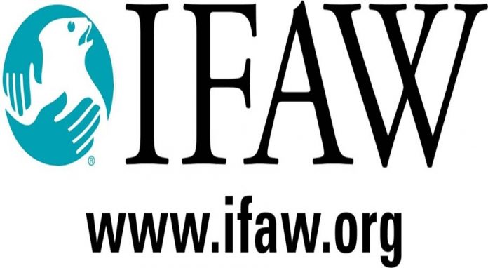 IFAW
