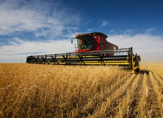 Région Marrakech-Safi : Une « bonne campagne agricole » en perspective