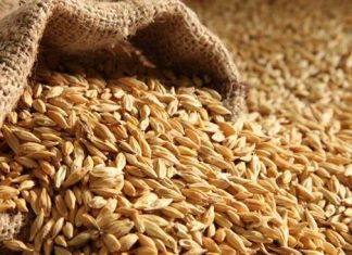 Agriculture : Record de la production céréalière mondiale en 2017
