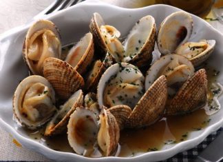 Bon à savoir : Les coquillages du nord du Maroc interdits à la consommation
