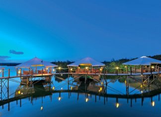 Ile Maurice : Le pays capte 90% des investissements indiens en Afrique