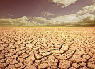 Afrique du Sud : La sécheresse a déjà coûté 1 milliard de dollars au secteur agricole