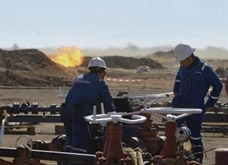 Algérie : La mise en garde de Greenpeace