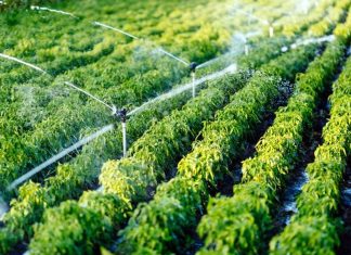 Irrigation : Le Maroc dispose de 2 ans de réserves d’eau