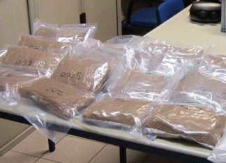 Drogues : Saisie record d’ecstasy à Tanger Med