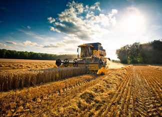 Secteur agricole : Le Maroc tient sa 1ère unité industrielle moderne pédagogique