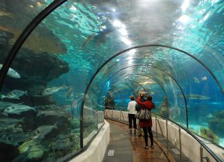 Marrakech : Le plus grand zoo aquatique d’Afrique en construction