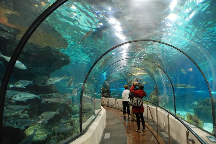 zoo aquatique