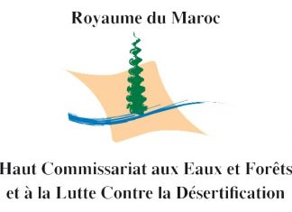 Forêts : Le Maroc investit 210 MDH dans de nouvelles pistes