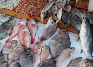 Enquête : Eléments sur les prix du poisson et l’approvisionnement des marchés