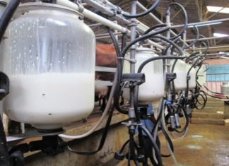 Boycott : La FIMALAIT tire la sonnette d’alarme