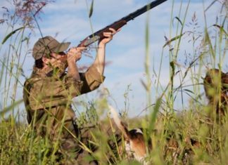 Chasse : Le Maroc dévoile ses derniers chiffres (en hausse)