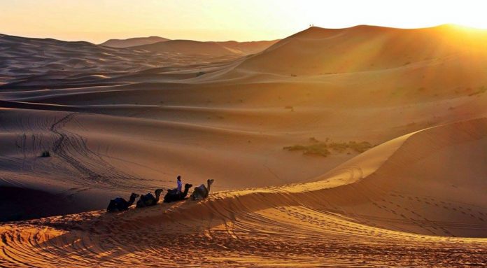 sahara marocain
