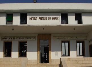 Nomination : Abderrahman Maaroufi nouveau directeur de l’Institut Pasteur du Maroc