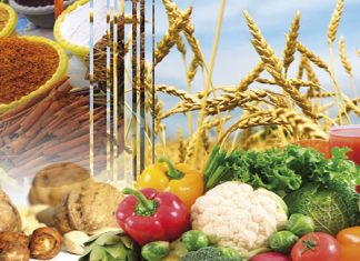 Agroalimentaire : L’UE reste en tête du commerce mondial