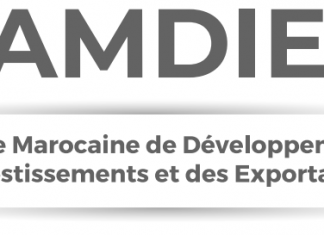 Promotion des investissements : L’AMDIE « meilleure agence africaine »