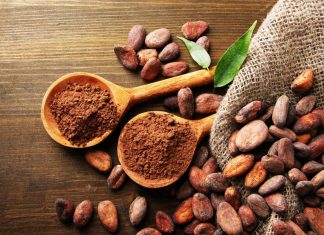 Cacao : Coup de pouce américain à la Côte d’Ivoire